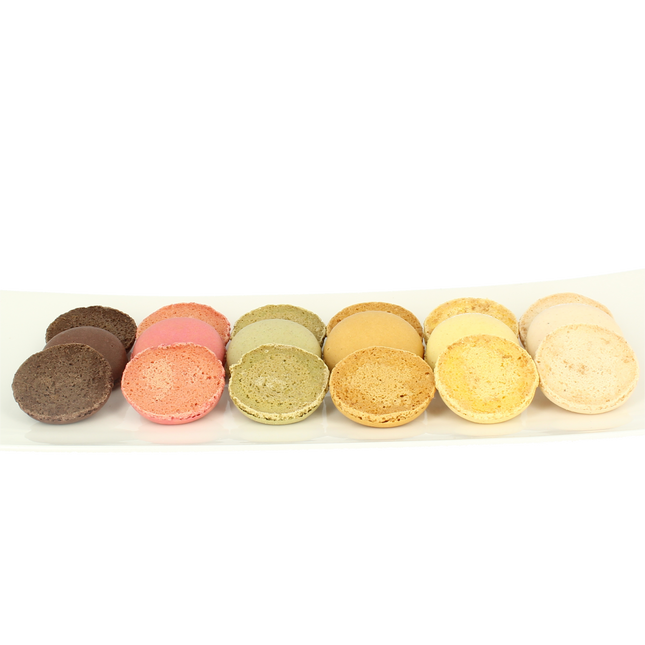 Macaroni shells 6 colors 3.6 g