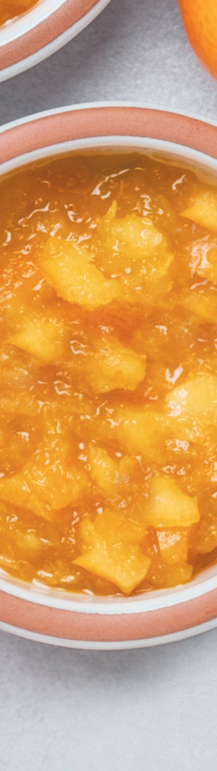 <h1><strong>Конфитирани плодове и плодови основи</strong></h1>